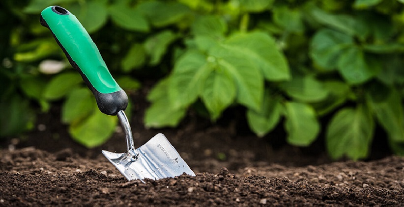 هنرستان در تراز بوم