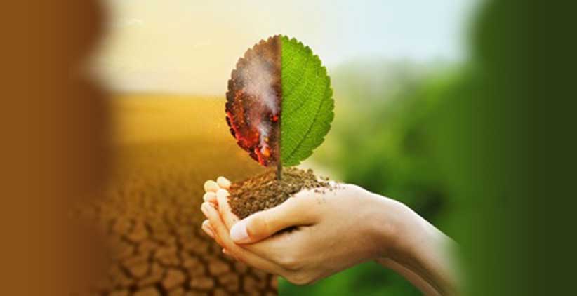 کاهش تغییر اقلیم با نوآوری الگوریتم رایانه‌ای