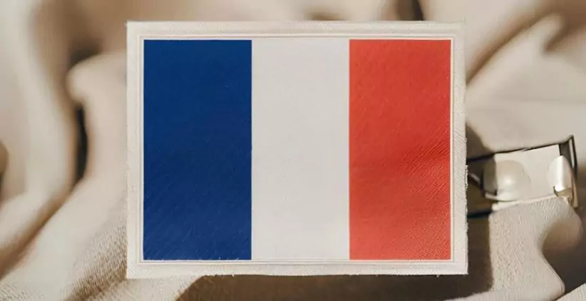 فرنچ واشینگ یک شرکت پیشرو تولید عسل در اروپا