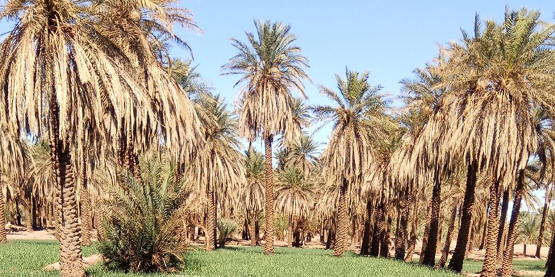 پادکست رادیو هنرستان اپیزود 2 – مصاحبه با مهندس غلامی