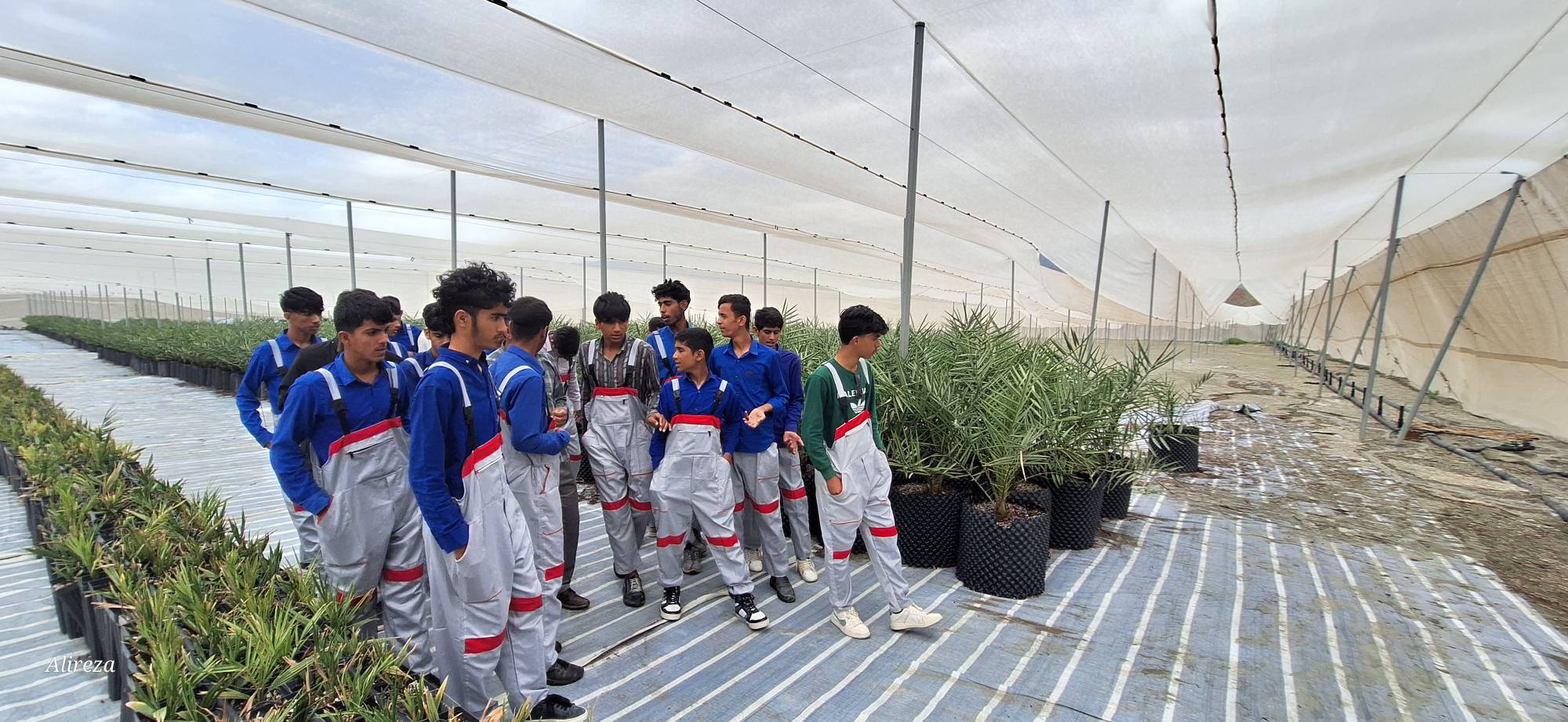 شرکت در اردو دشت - گلخانه - 1