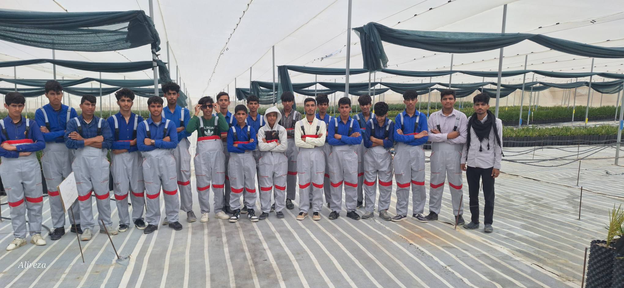 شرکت در اردو دشت - گلخانه - 5